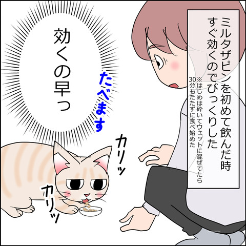 あんこ＆麦kenko147a