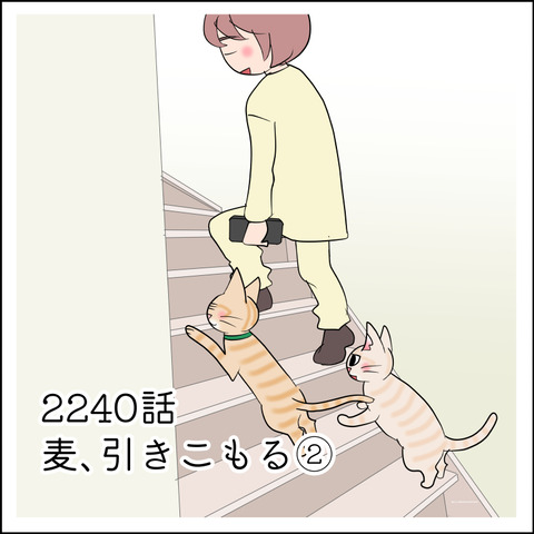 あんこ＆麦STORY2240@