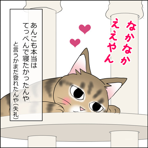 あんこ＆麦STORY2491c