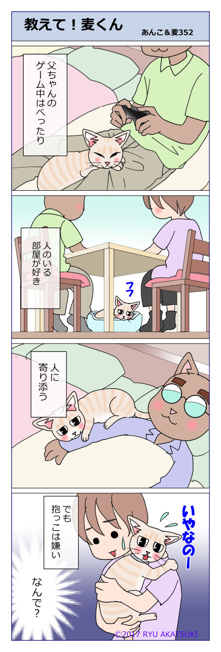 あんこ＆麦STORY352