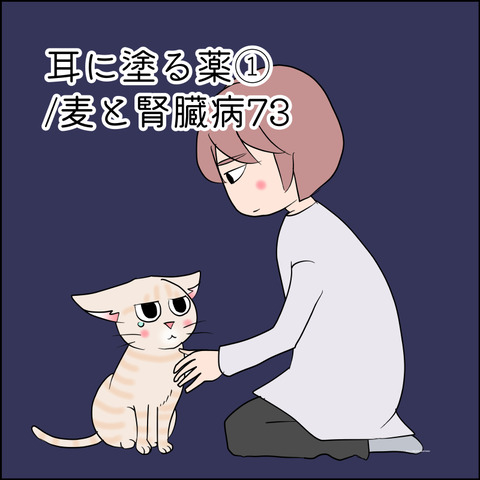 あんこ＆麦kenko143@