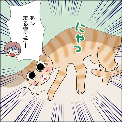 あんこ&麦STORY2396b