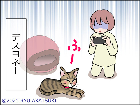 あんこ&麦STORY1475d
