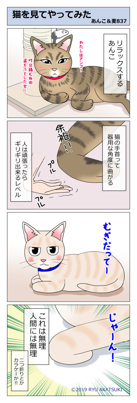 あんこ&麦STORY837