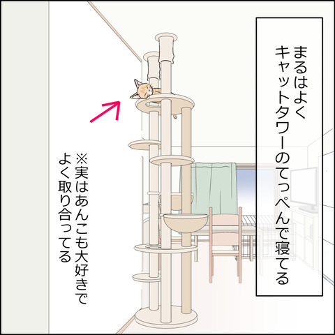 あんこ&麦STORY2141a