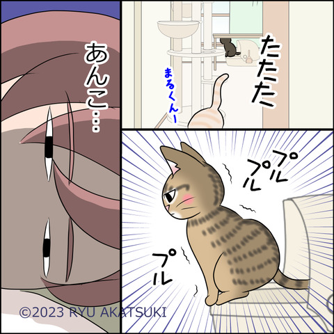 あんこ＆麦STORY1836d