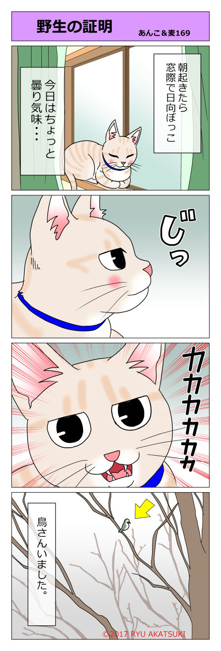 あんこ&麦STORY169