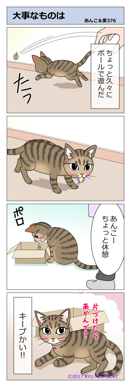 あんこ&麦STORY376