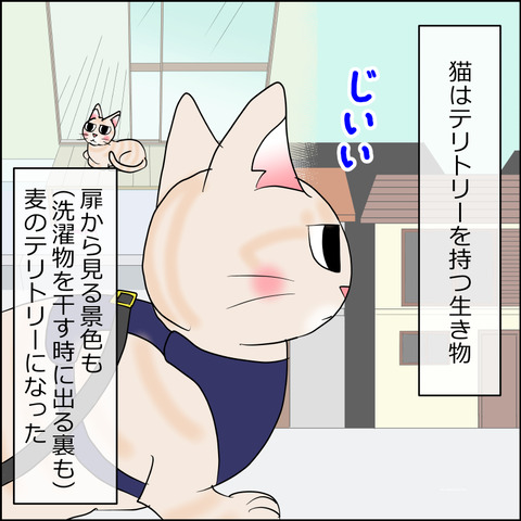 あんこ&麦STORY2384e