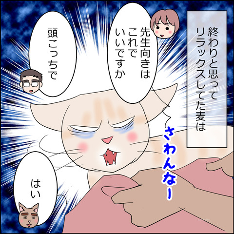 あんこ＆麦kenko104b