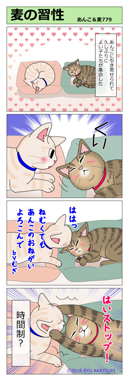 あんこ&麦STORY779