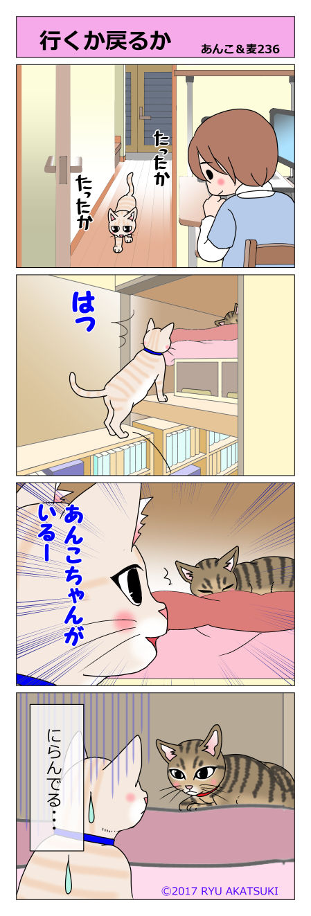 あんこ&麦STORY236
