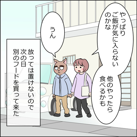 nekokita016a