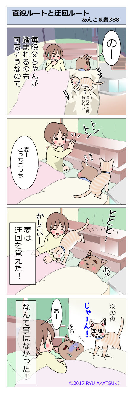 あんこ＆麦STORY388