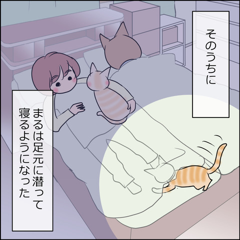 あんこ＆麦STORY1695f