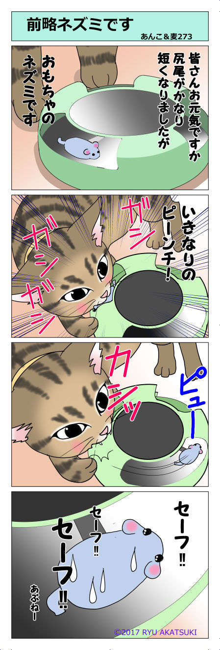 あんこ&麦STORY273