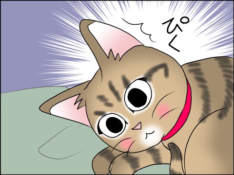 あんこ&麦STORY1506b