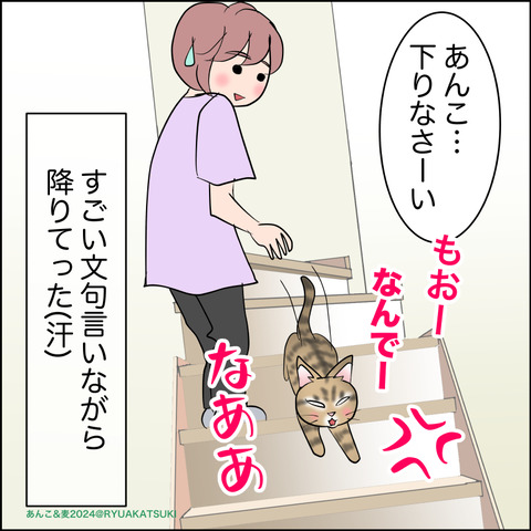 あんこ＆麦STORY2127d