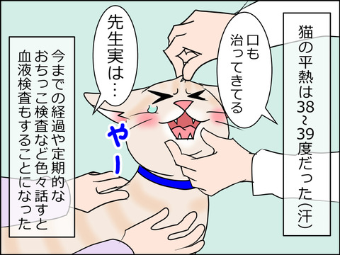 あんこ&麦kenko30c