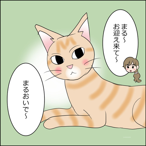 あんこ＆麦STORY2476c