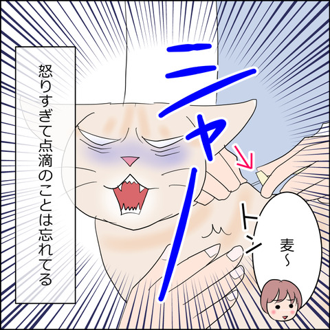 あんこ＆麦kenko109d