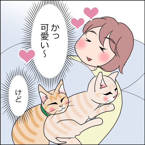 あんこ&麦STORY1705c