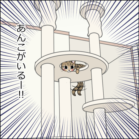 あんこ＆麦STORY2491b