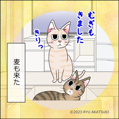 あんこ&麦STORY1855d