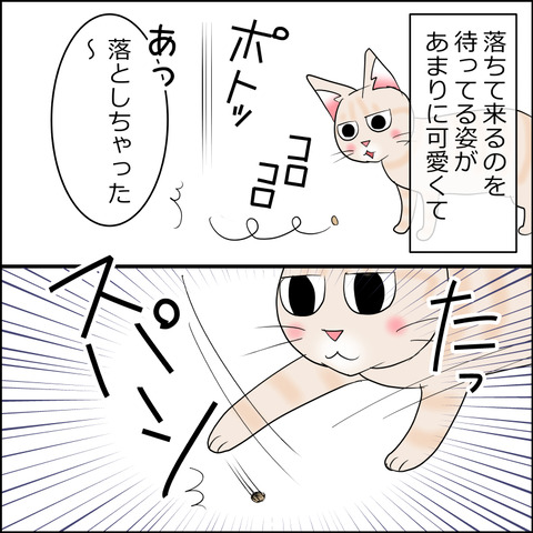 あんこ＆麦STORY2270c