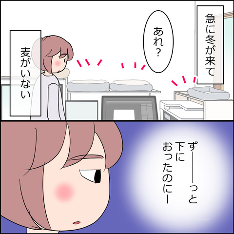 あんこ&麦STORY2371b