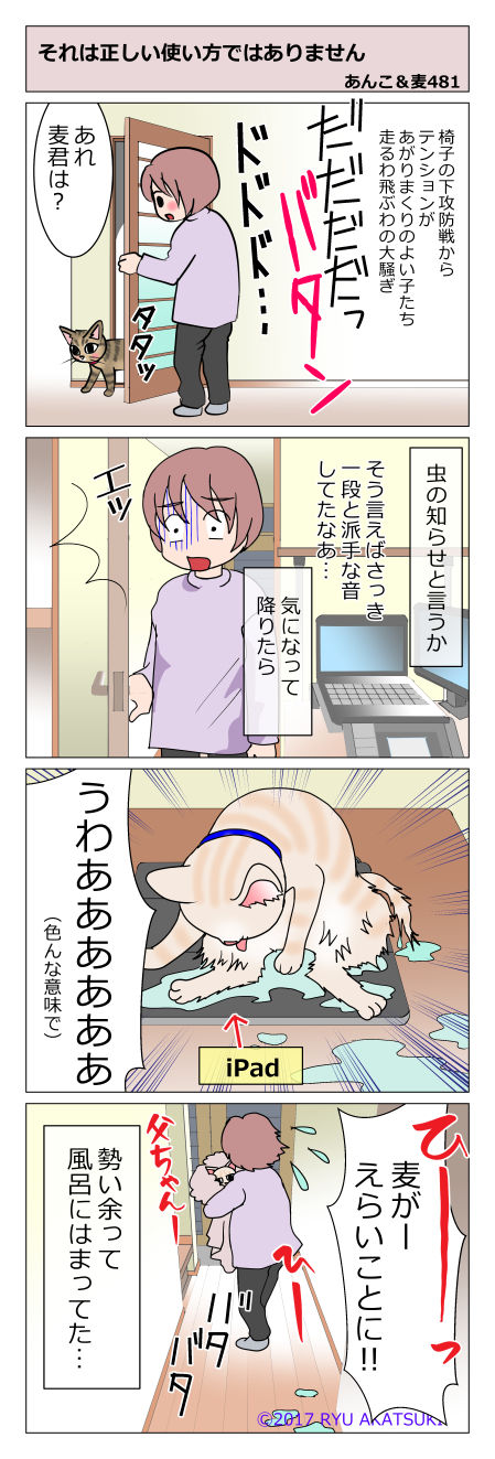 あんこ&麦STORY481