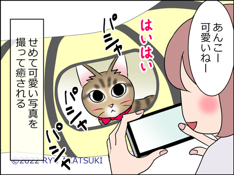 あんこ&麦STORY1579d
