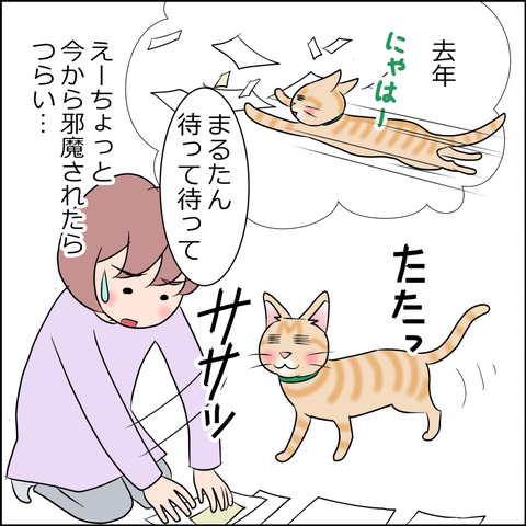 あんこ＆麦STORY1828c