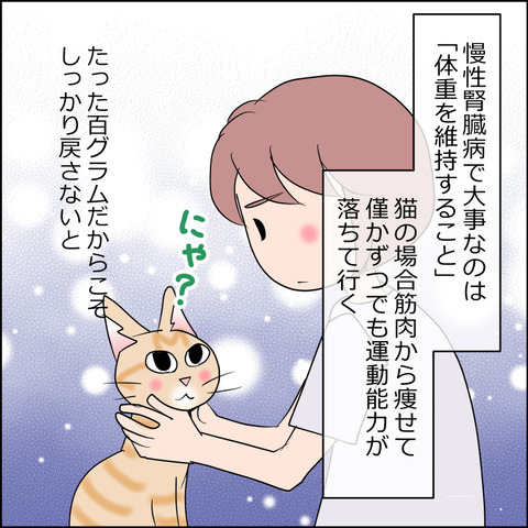 あんこ&麦kenko163a