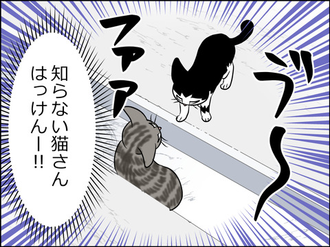 あんこ＆麦STORY1629b