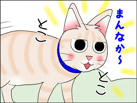 あんこ&麦STORY1630c