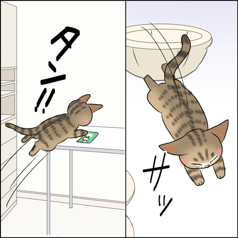 あんこ＆麦STORY1804c