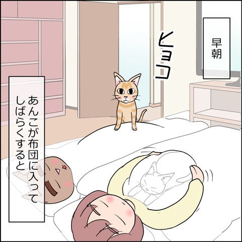あんこ＆麦STORY2440a
