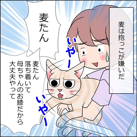 あんこ＆麦STORY1693b