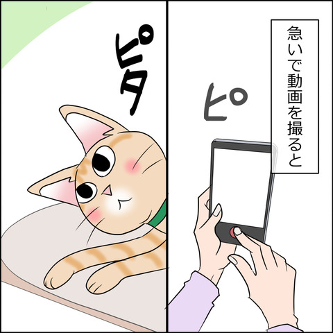 あんこ＆麦STORY1904b