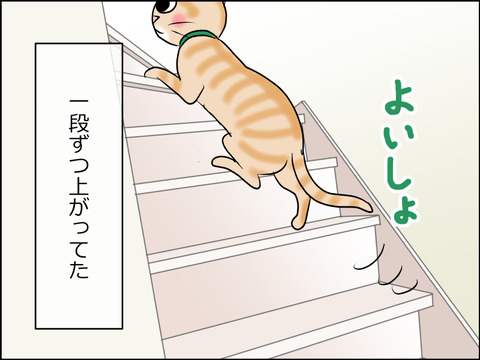 あんこ＆麦STORY1627d