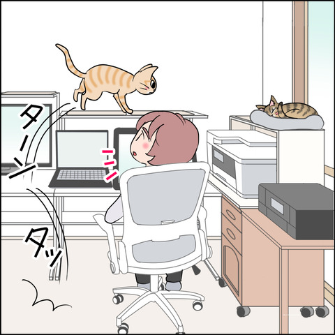 あんこ＆麦STORY2416c