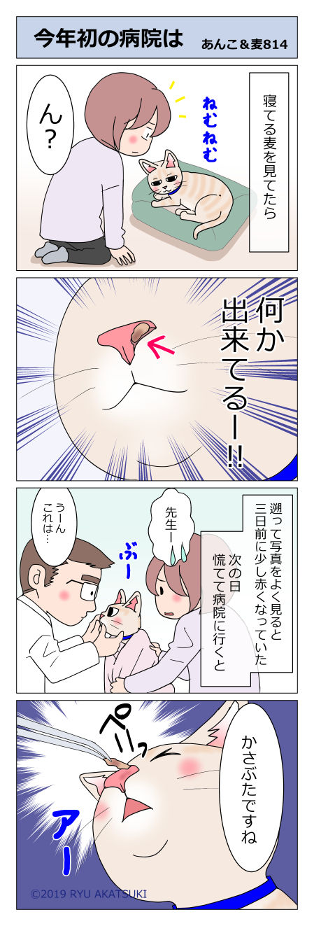 あんこ&麦STORY814