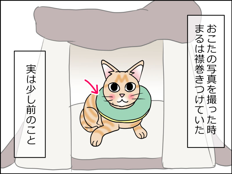 まると舐めハゲ あんこと麦と Powered By ライブドアブログ