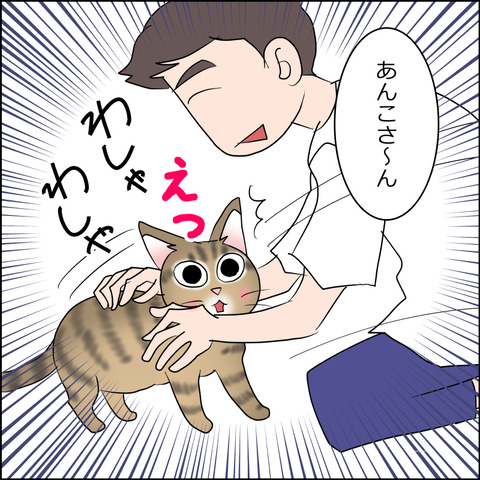 あんこ&麦STORY2481b