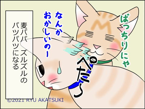 あんこ&麦STORY1492d