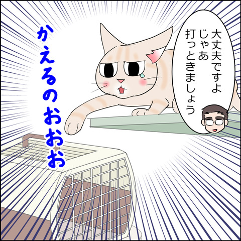 あんこ&麦kenko113b