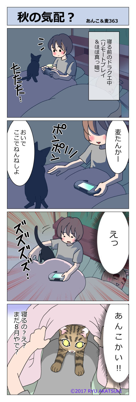 あんこ&麦STORY363