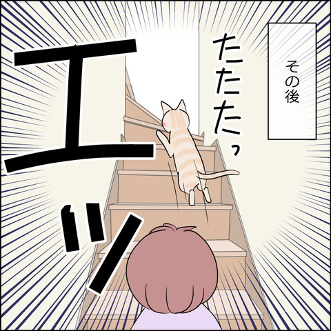 mugitabi015c