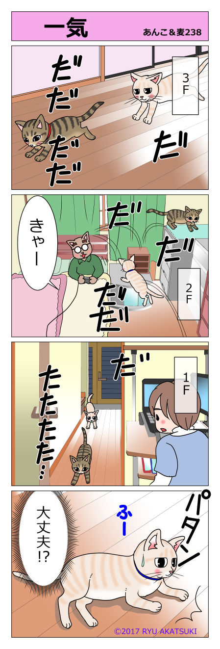あんこ&麦STORY238